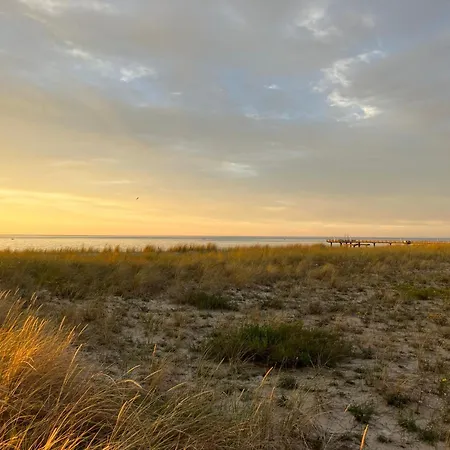 Strandgruen