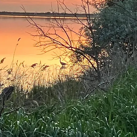 Lägenhet Strandgruen Rerik